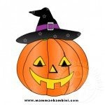 zucca
