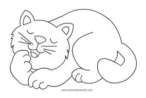 gatto_1