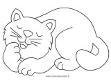 gatto_1da colorare