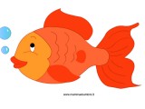 pesce_Aprile colorato