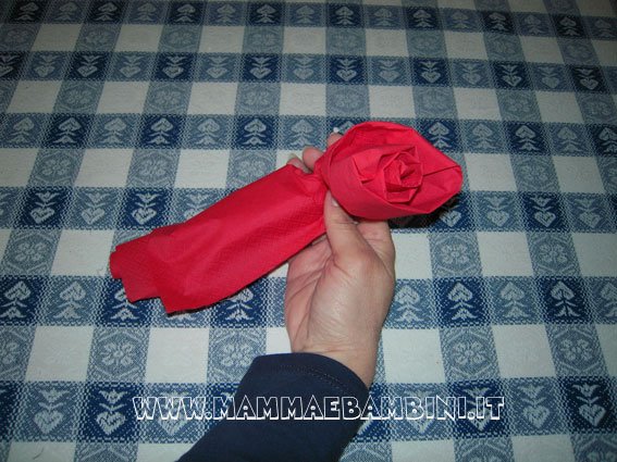 rosa-carta_05 rosa carta 05