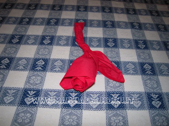 rosa-carta_07 rosa carta 07
