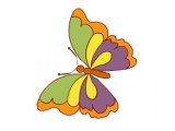 farfalla8