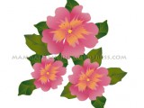 fiori_rosa12