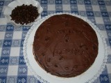 torta_caffe2