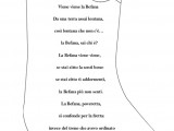 poesia calza2