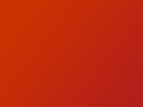 banner s.valentino