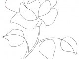 rosa da colorare