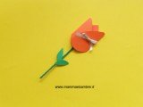 tulipano_01
