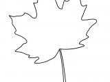 disegno_foglia