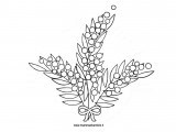 disegno mimosa da colorare