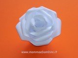 rosa-carta-22