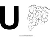 lettera-u