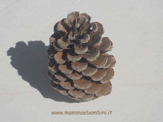 Decorazioni con pigne dorate 1 pigna-dorata-01