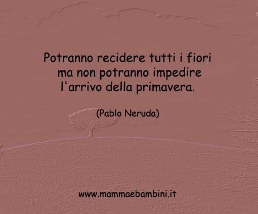 frase-del-giorno-sull'ottimismo