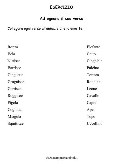 thesis plurale inglese thesis plurale inglese
