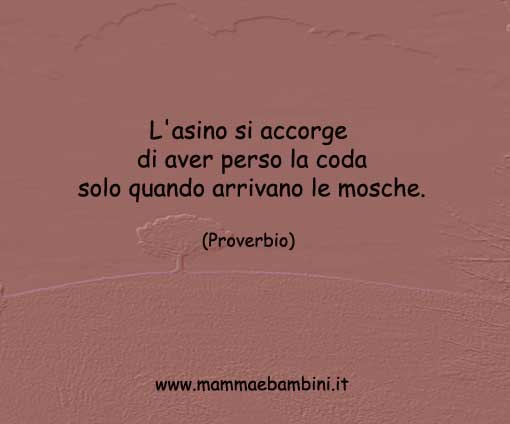 frase-del-giorno-proverbio