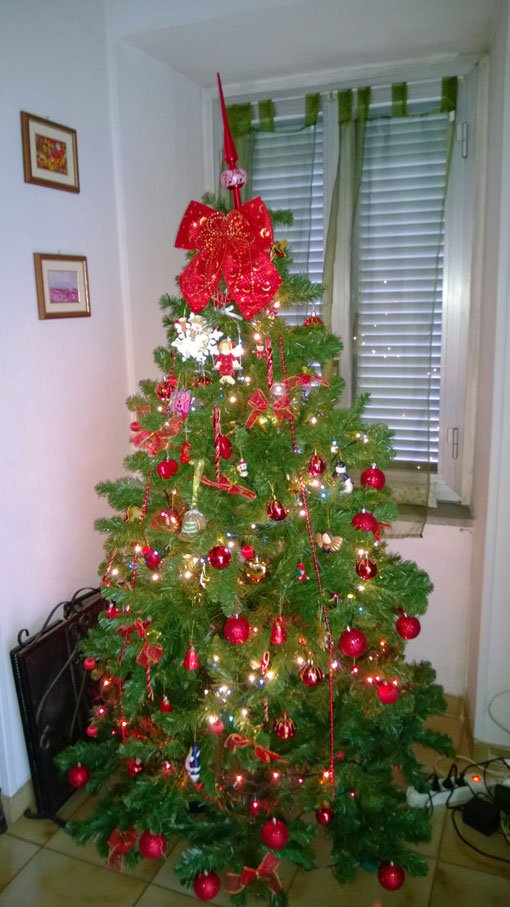 albero-Chiara