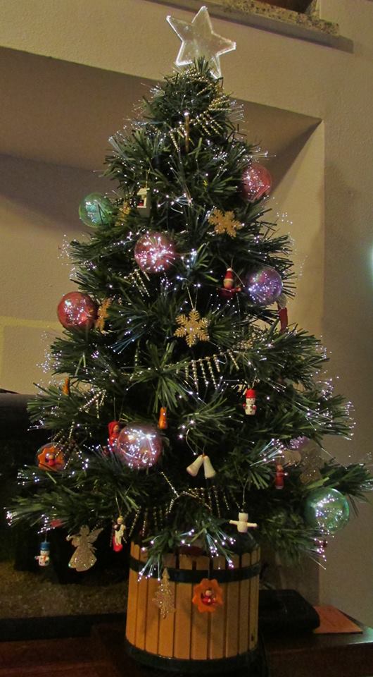 albero leonardo alessia2 (2)