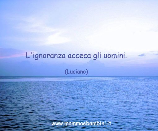 frasi sullignoranza