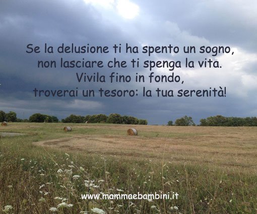 frasi sulla delusione1