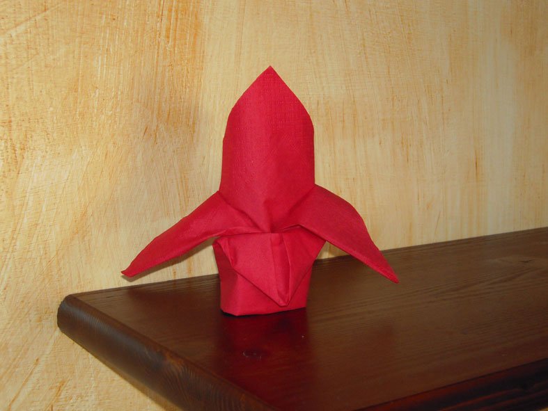 Video piegare tovaglioli in modo elegante 1 tovagliolo-ali-rosso