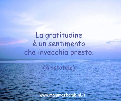 aforisma gratitudine