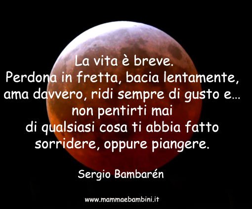 frase sulla vita