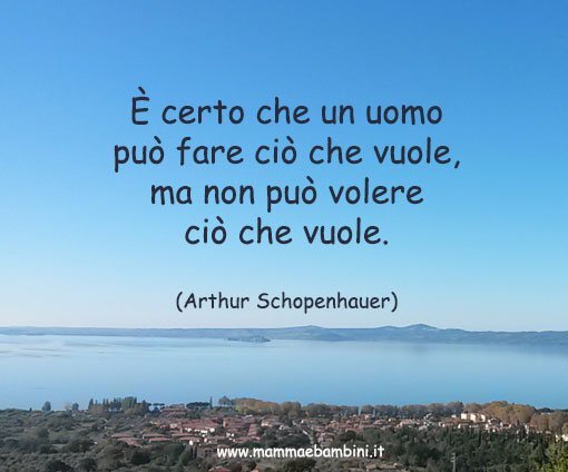 frase sul volere