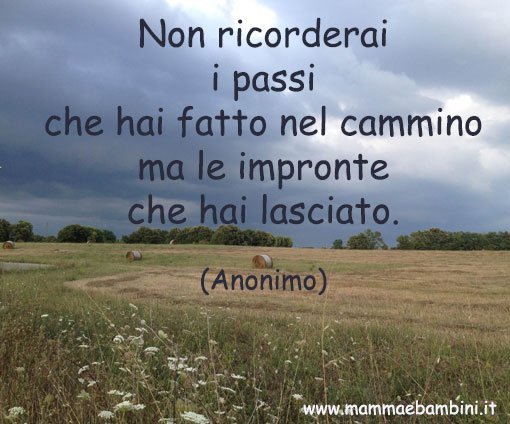 frase sul cammino della vita