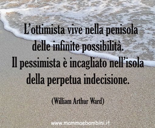 Frase sugli ottimisti e pessimisti