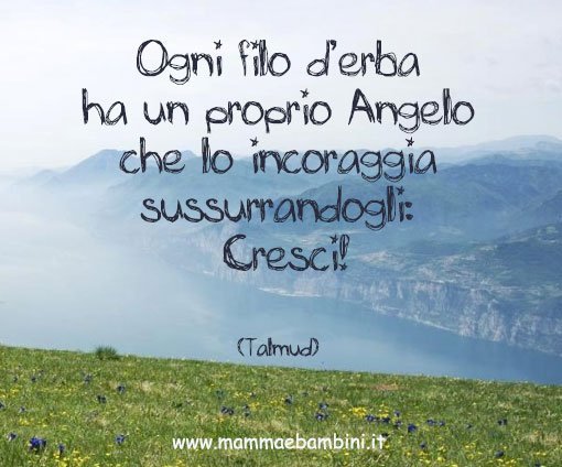 Homepage Cuore di mamma