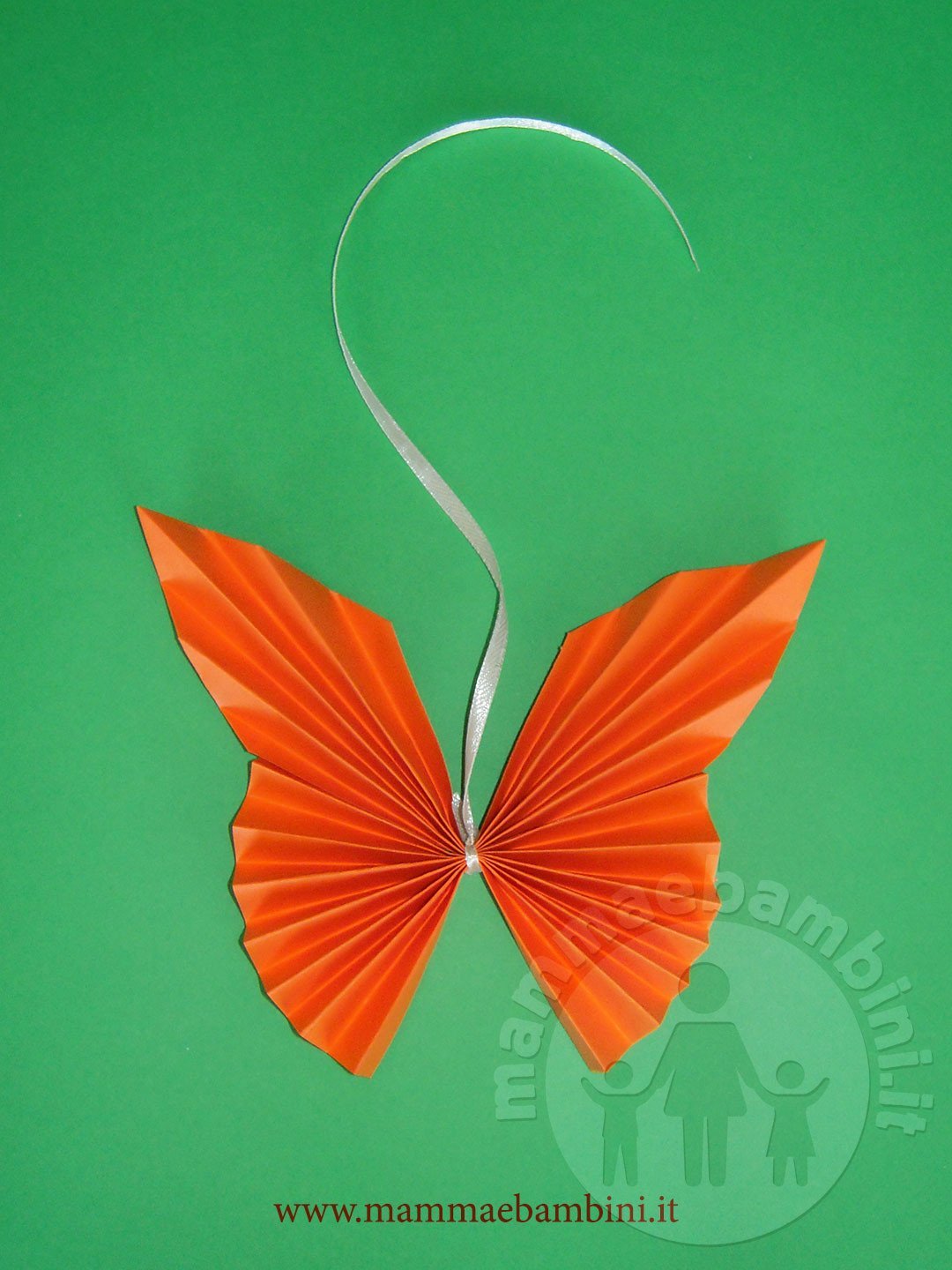 farfalla fisarmonica 02