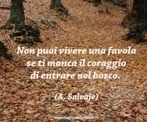 frase sul coraggio