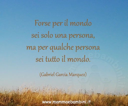 frase amore