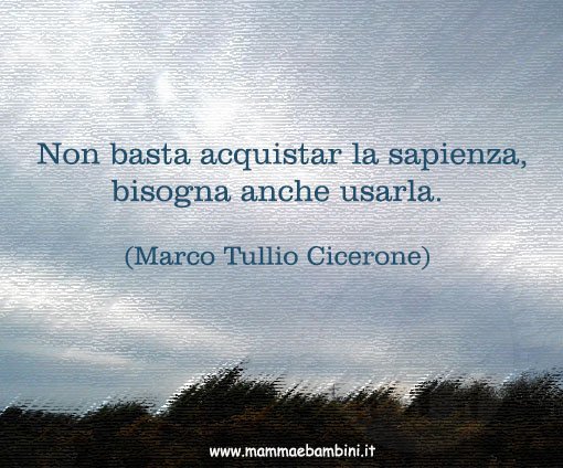 frase sapienza