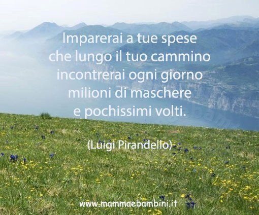 frase vita