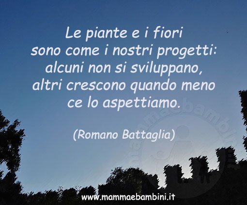 Frase del giorno 29.12 progetti 1 frase progetti