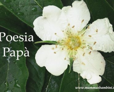 poesia papa