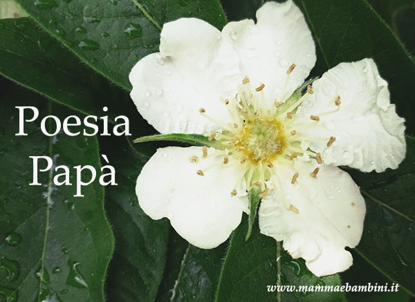 Poesia Papa' 1 poesia papa