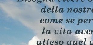 frase vita4