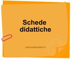 schede