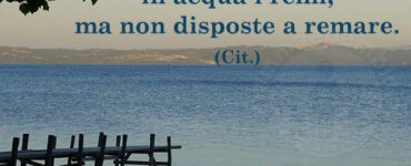 frase del giorno remare
