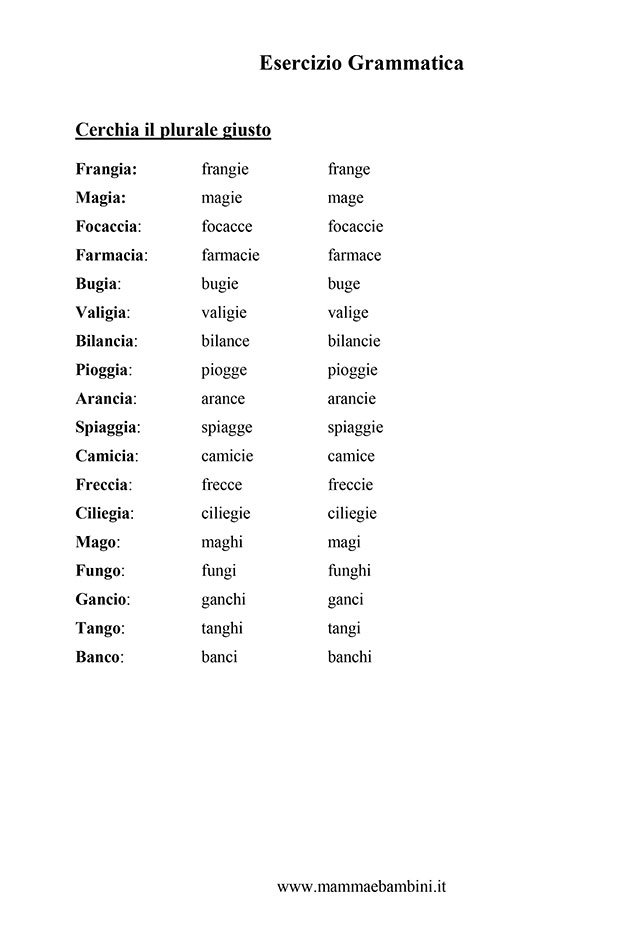 Esercizi Italiano parole al plurale