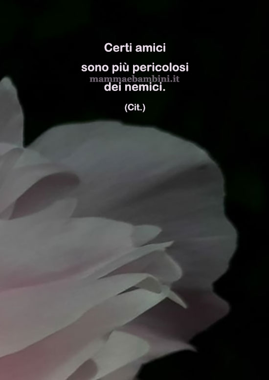 Frase del giorno 22 luglio sugli amici 1 frase del giorno amici