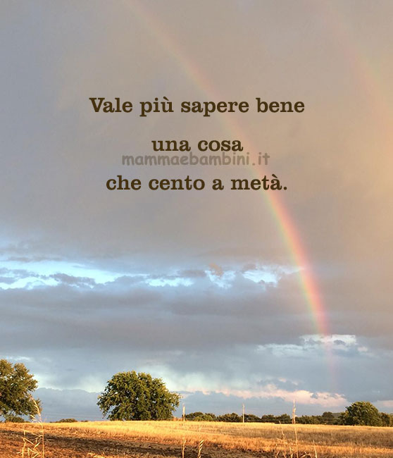 Frase del giorno 15 luglio su sapere 1 frase del giorno sapere