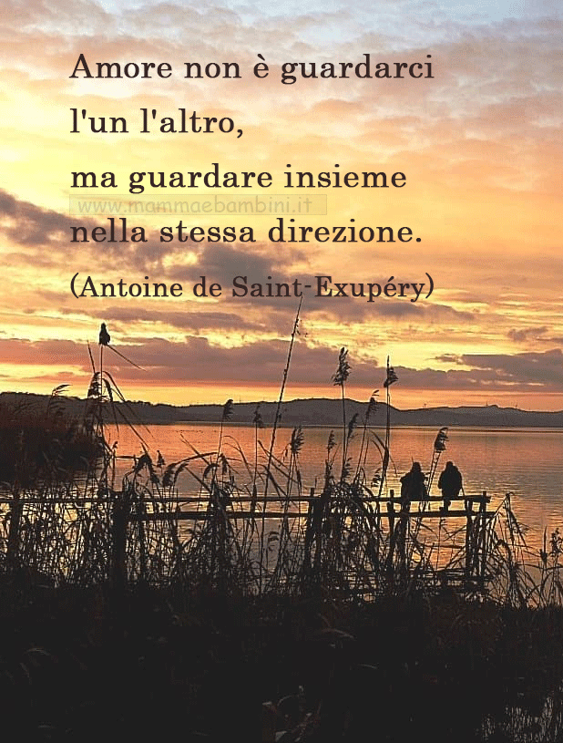 Frase del giorno 16 settembre sull'amore 1 frase amore
