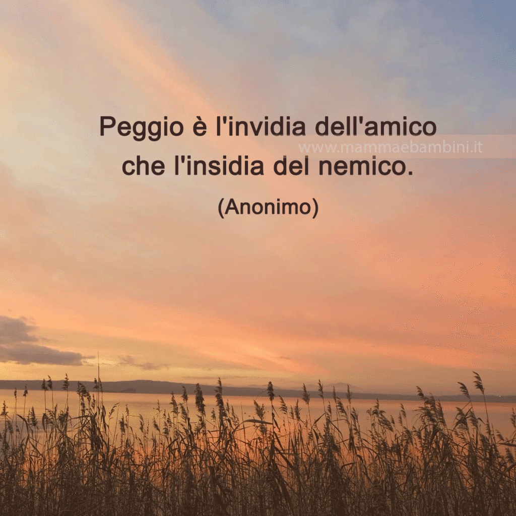 Frase del giorno 17 settembre sull'invidia 1 frase insidie