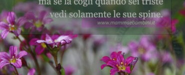 frase stato danimo