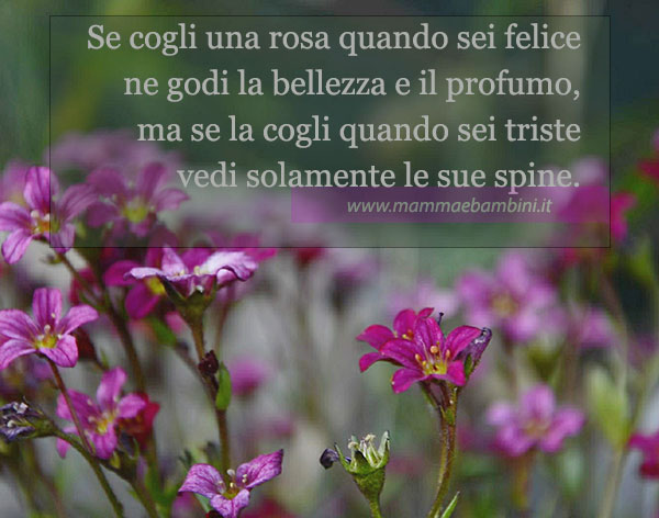 Frase del giorno del 16 ottobre 1 frase stato danimo